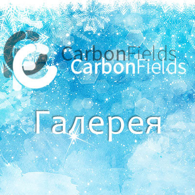 Галерея для сайта на основе плагина Carbon Fields